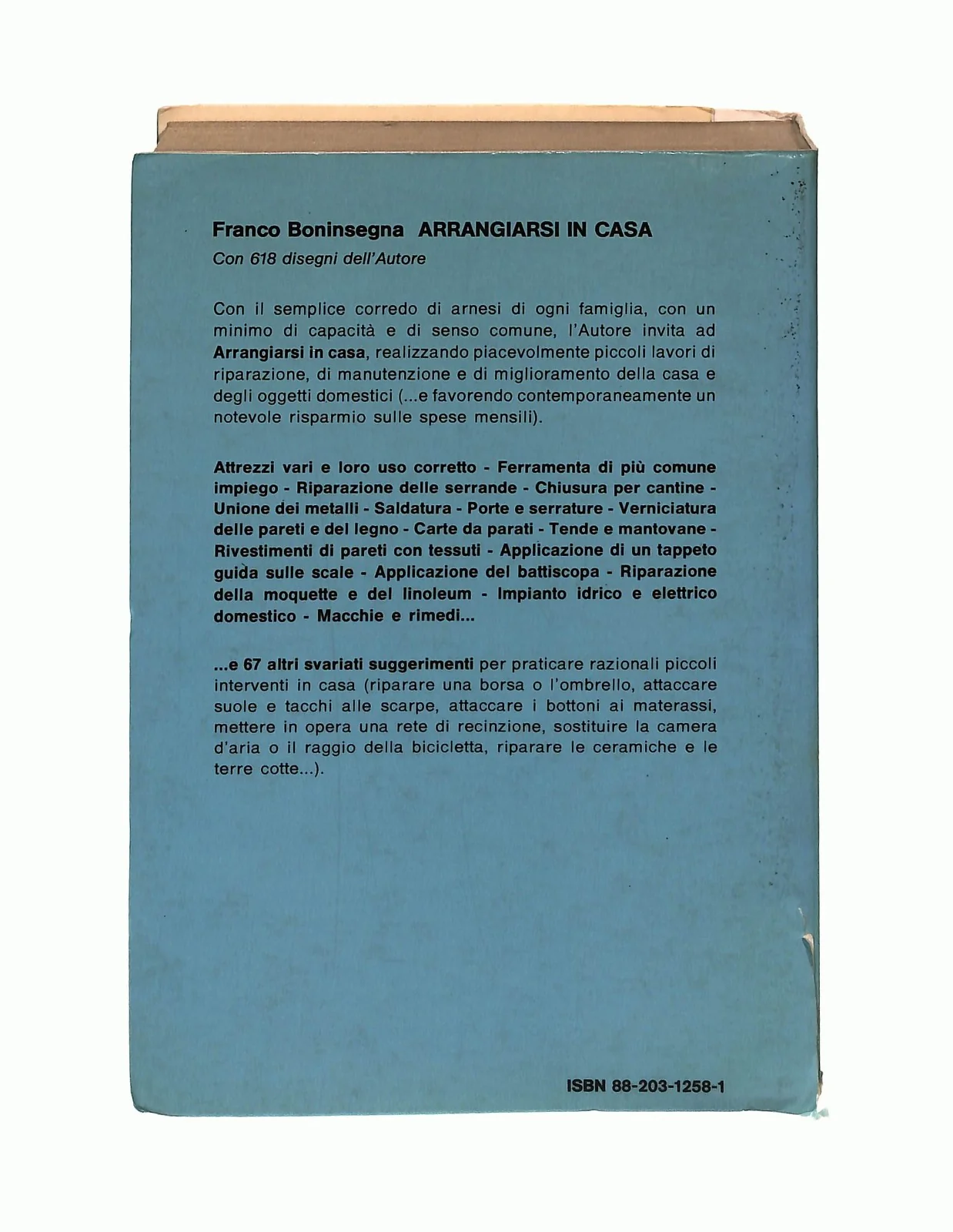 EBOND Arrangiarsi In Casa Franco Boninsegna Hoepli Libro LI046411 - Image 2