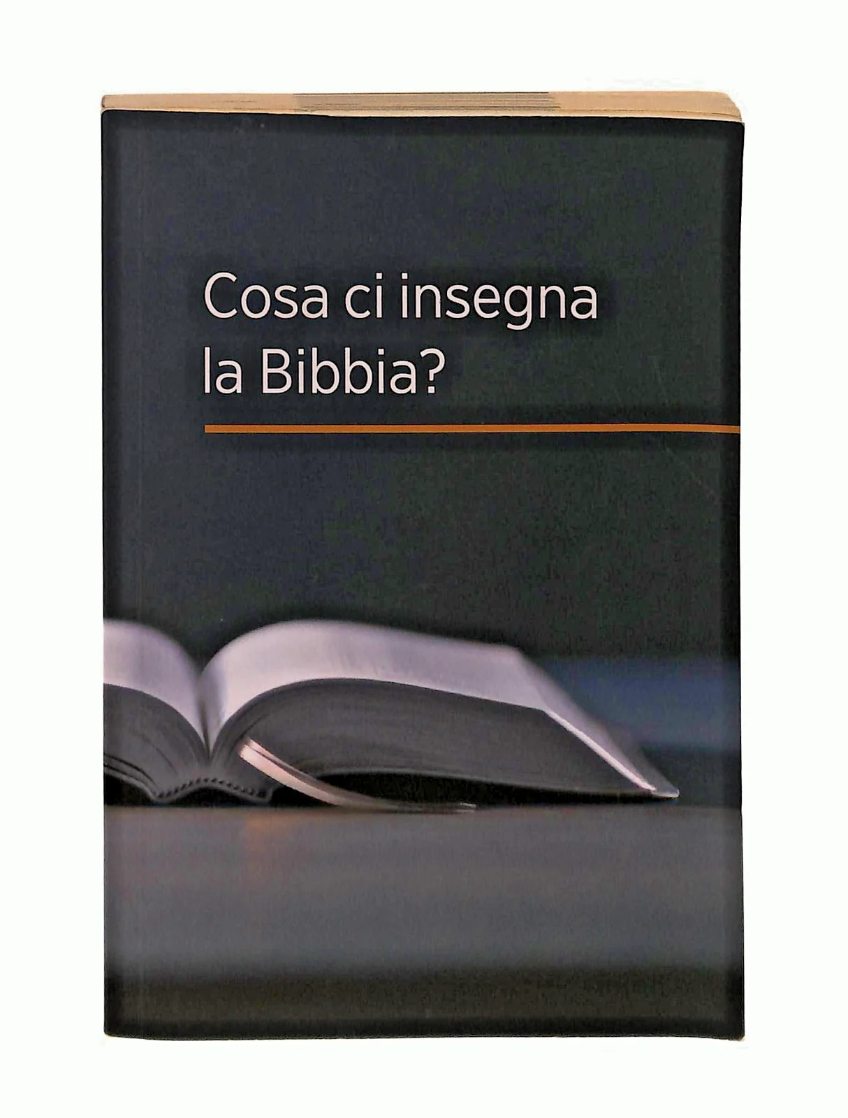EBOND Che Cosa Ci Insegna La Bibbia 2018 Libretto Libro LI047349