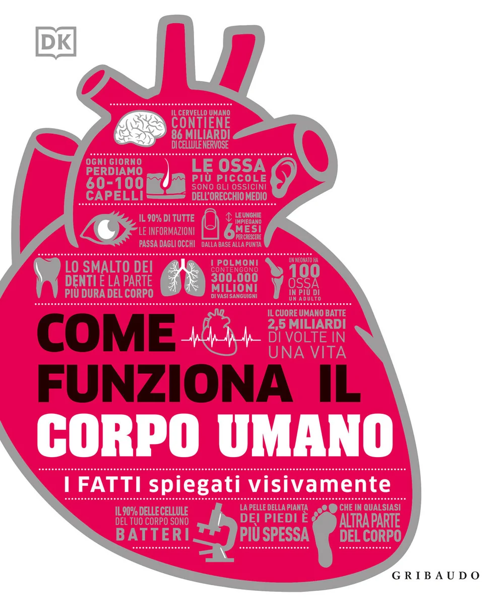 Come Funziona Il Corpo Umano. I Fatti Spiegati Visivamente. Ediz. A Colori -