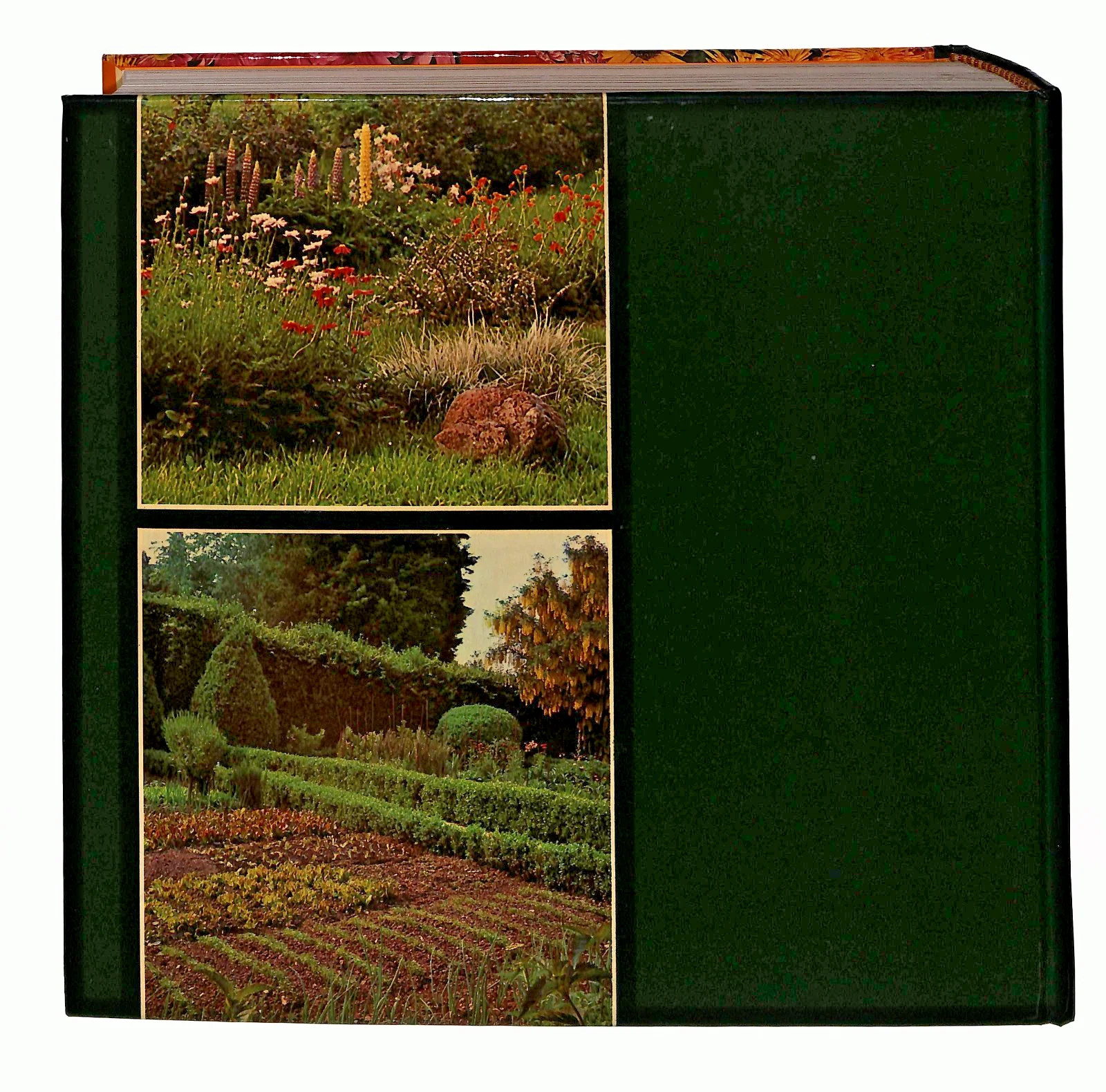 EBOND Giardinaggio Senza Problemi Selezione 1981 Libro LI046078 - Image 2