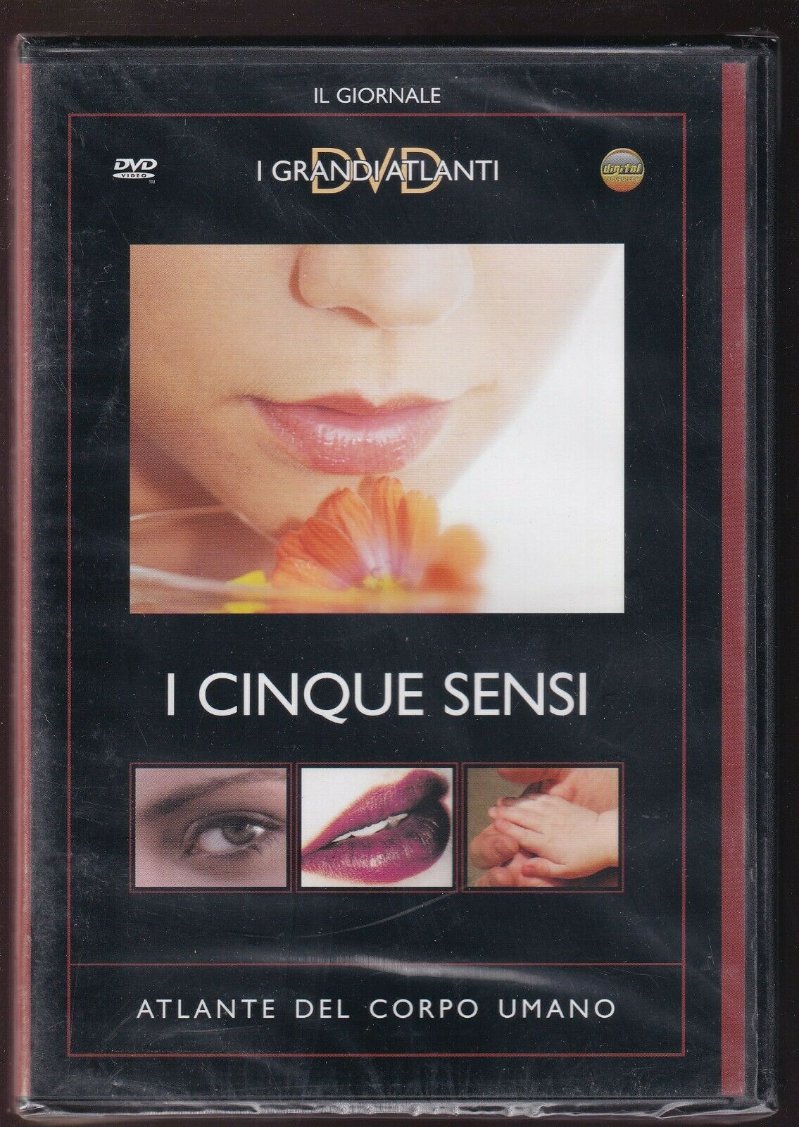 EBOND I Cinque Sensi - Atlante Del Corpo Umano Editoriale DVD DB695120