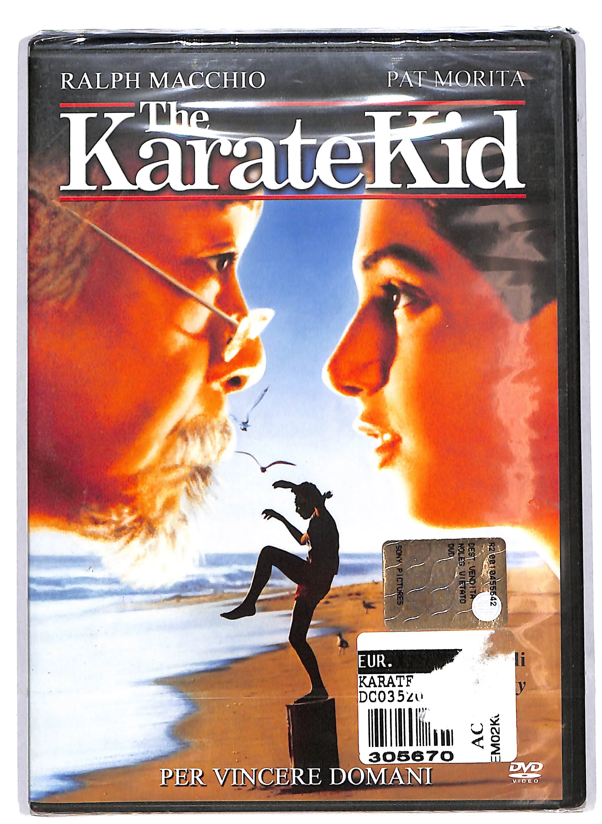 EBOND Karate Kid. Per vincere domani DVD DB743652