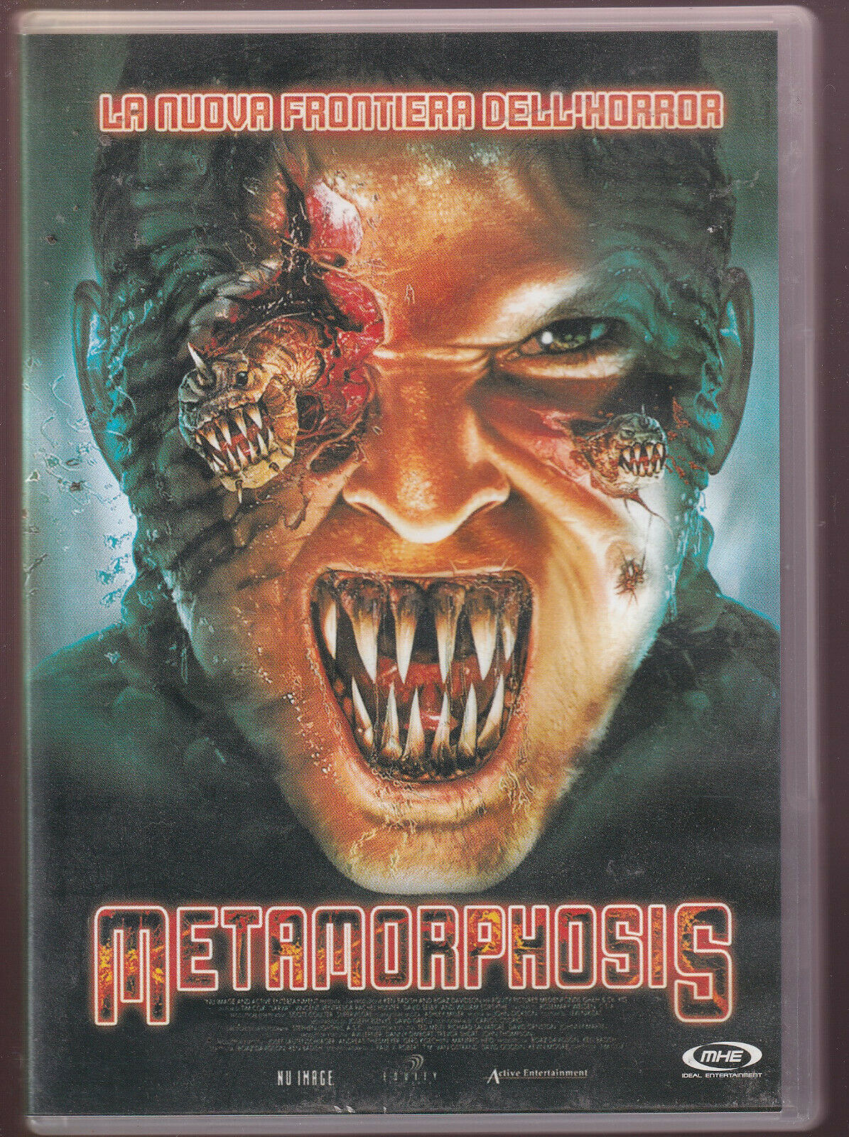 EBOND Metamorphosis DVD DB738855