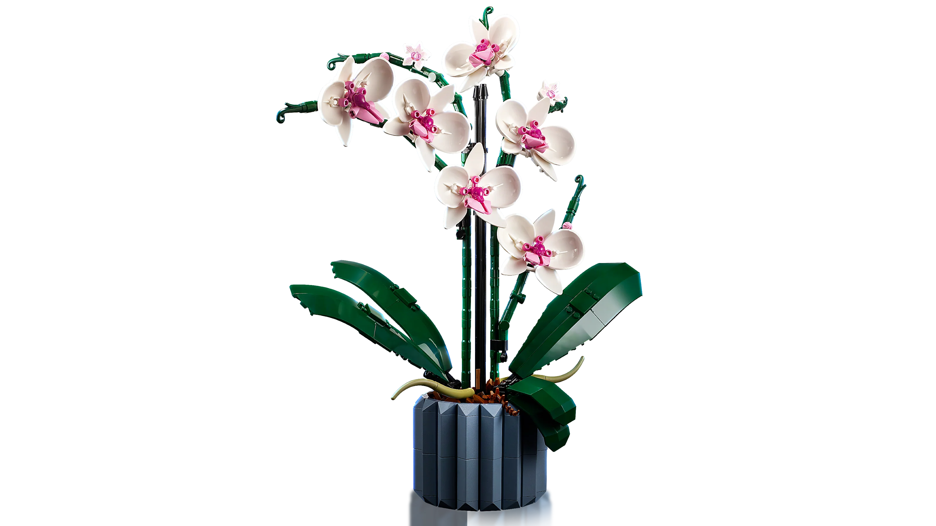 LEGO 10311 Orchidea - Image 3