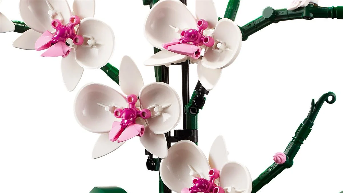 LEGO 10311 Orchidea - Image 6