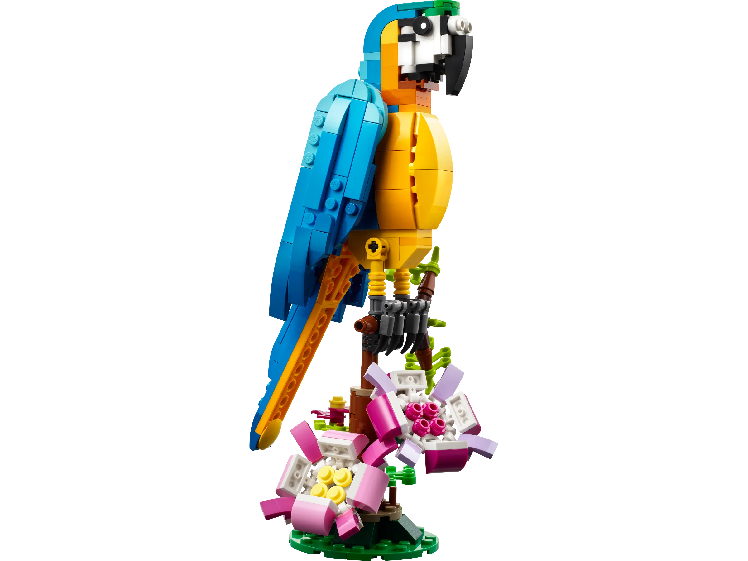 LEGO 31136 Pappagallo esotico