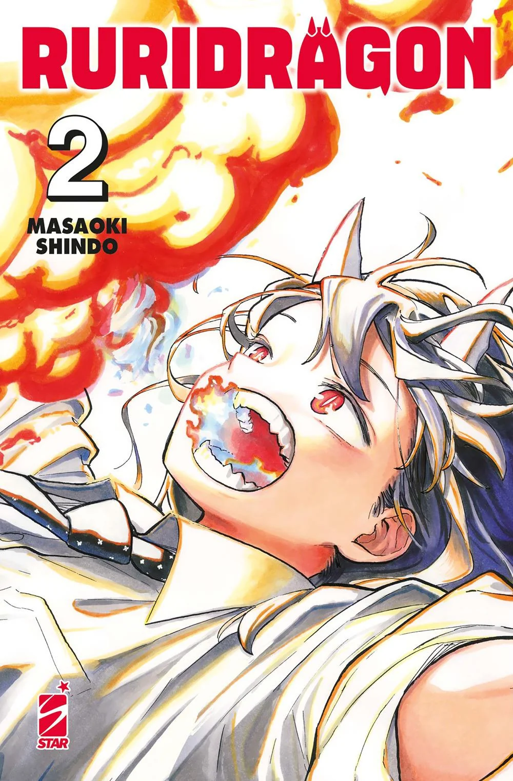 Ruridragon. Vol. 2 - Shindo Masaoki