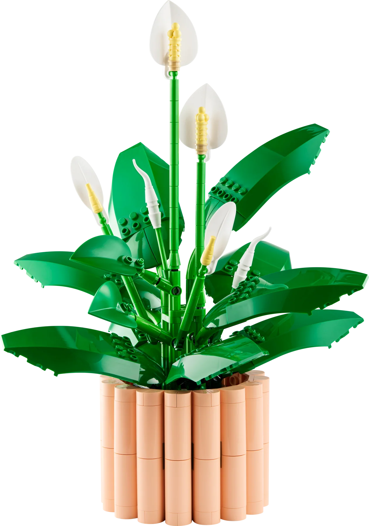 LEGO 11504 Spatifillo