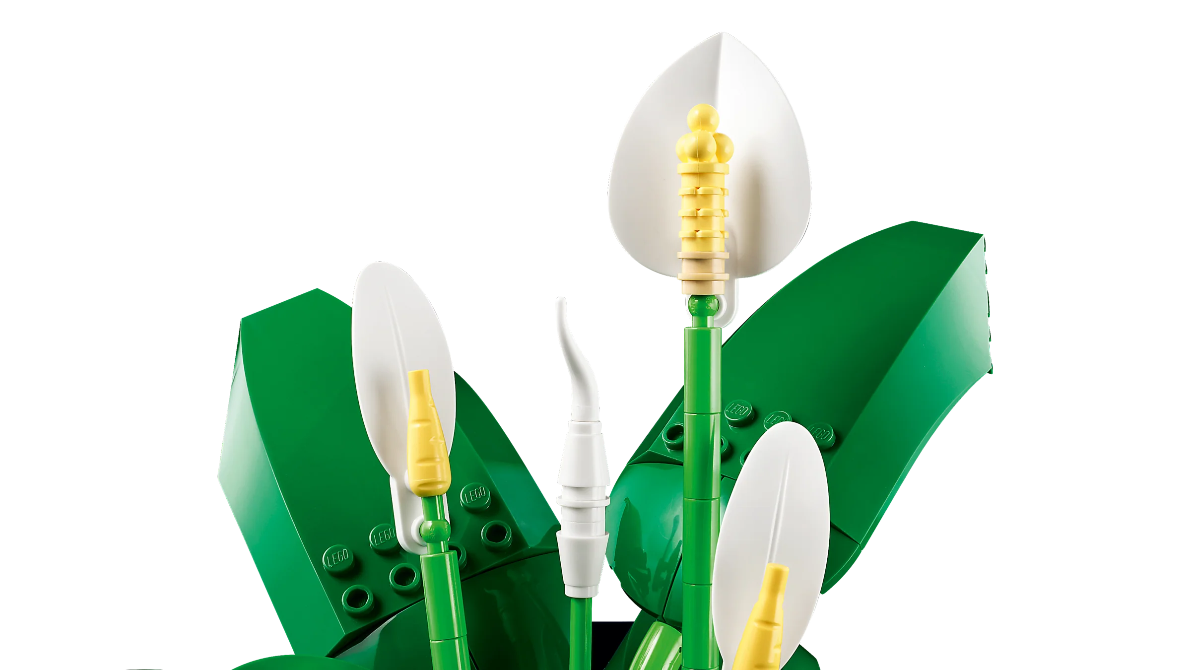 LEGO 11504 Spatifillo - Image 5
