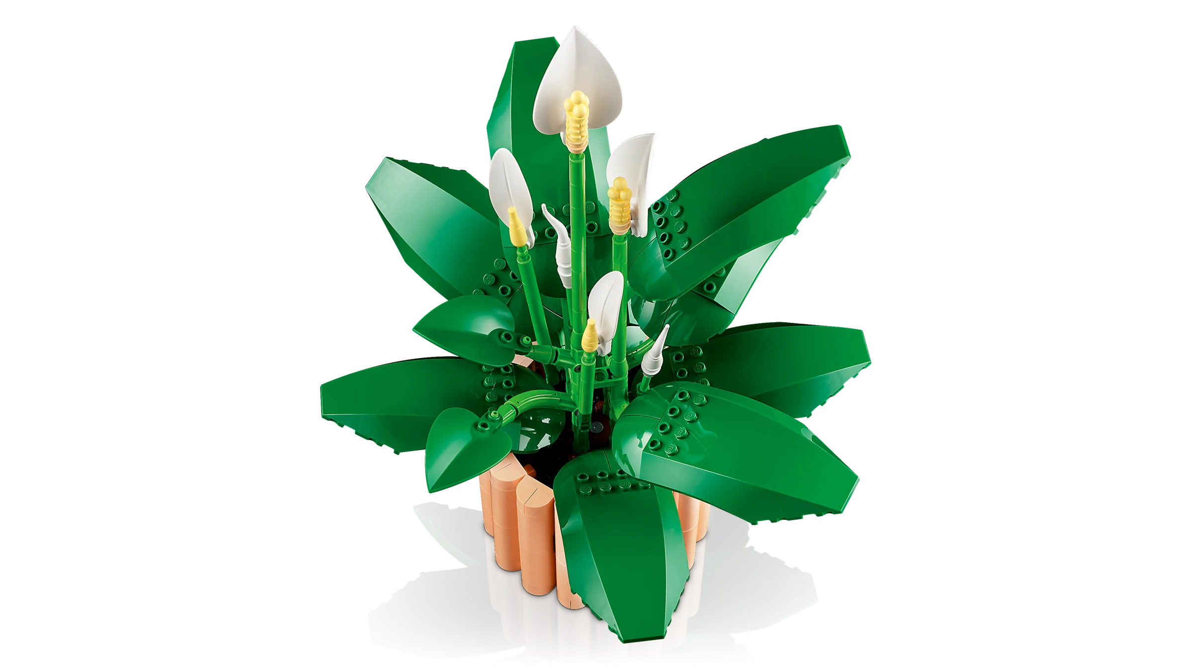 LEGO 11504 Spatifillo - Image 6