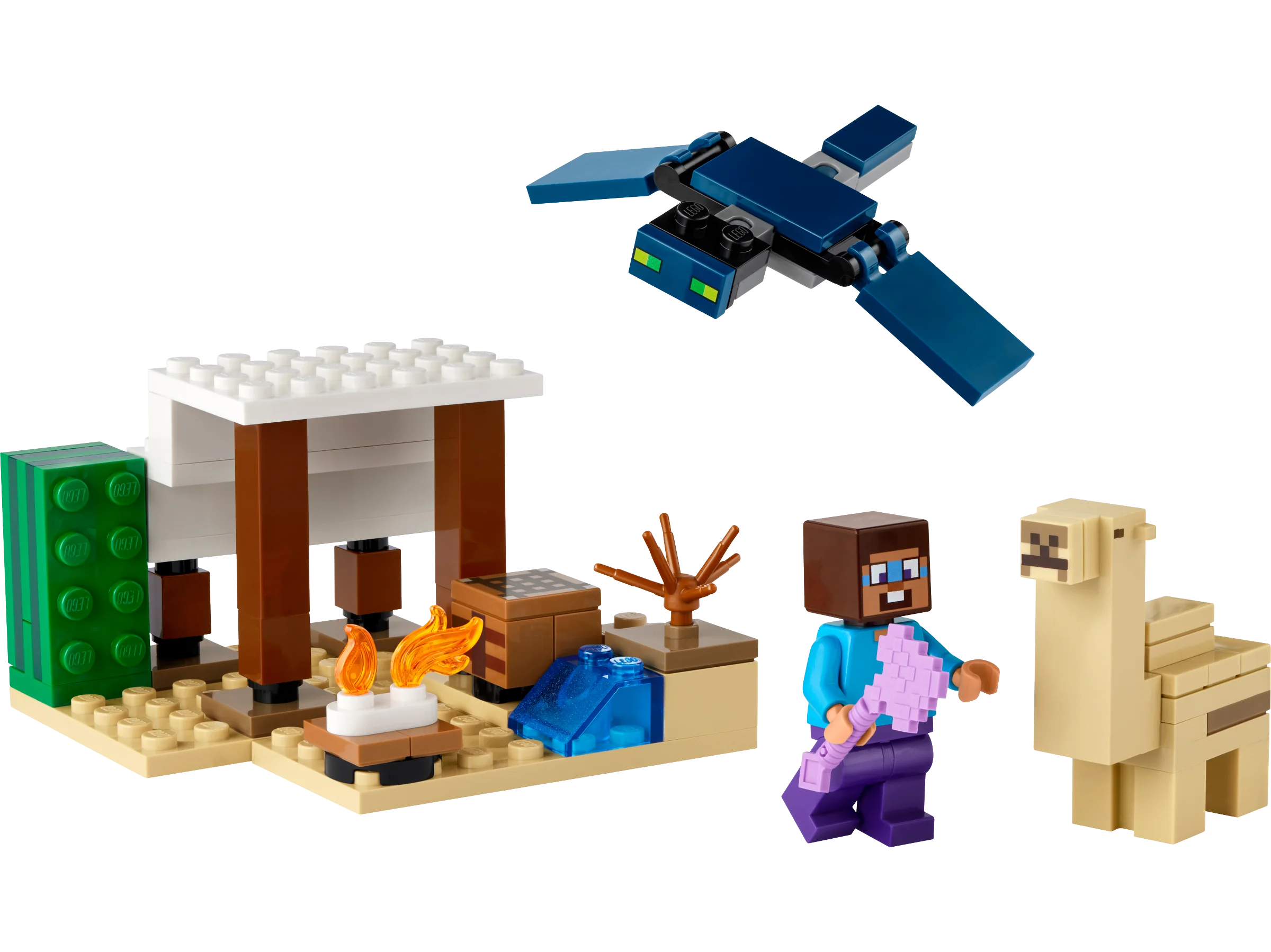 LEGO 21251 Spedizione di Steve nel deserto