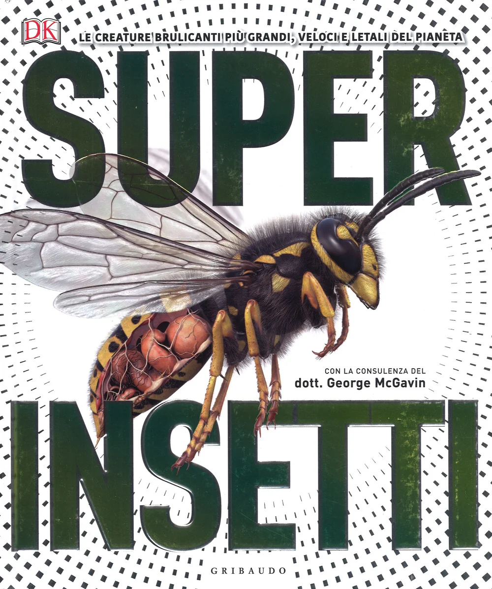 Superinsetti. Ediz. A Colori -