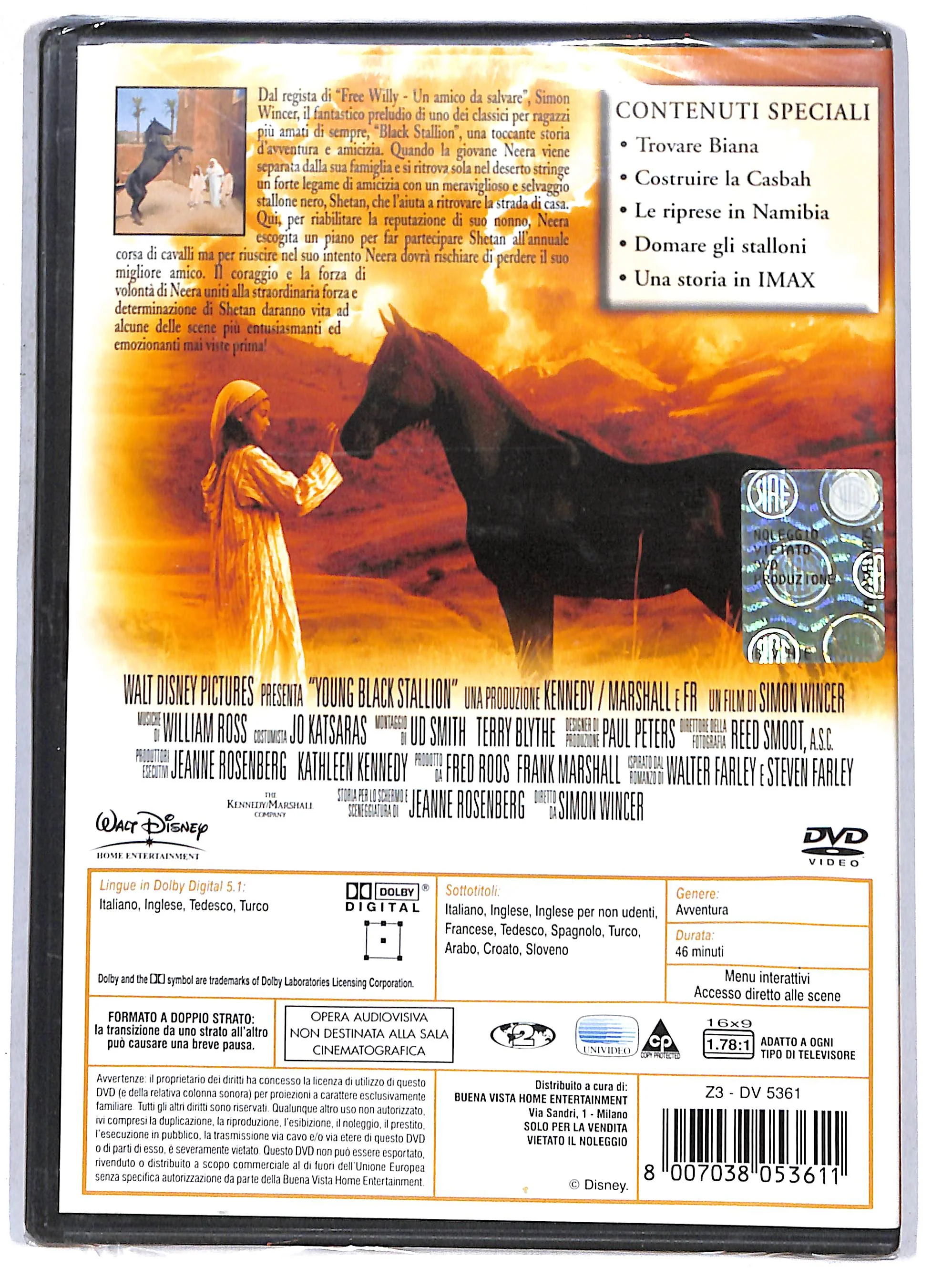 EBOND Young Black Stallion DVD DB744863 - Image 2